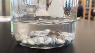 Aluminum in water reaction