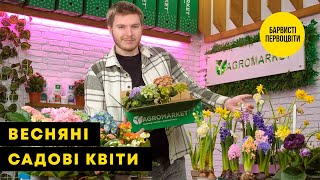 ВЕСНЯНІ КВІТИ | Квіткова казка у вашому подвір'ї | Agro-Market.ua