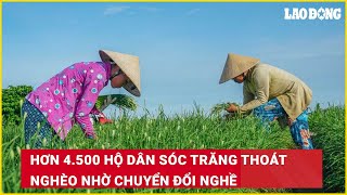 Hơn 4.500 hộ dân Sóc Trăng thoát nghèo nhờ chuyển đổi nghề | Báo Lao Động