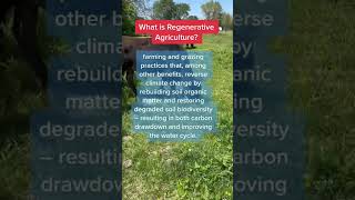 What is regenerative agriculture? #education