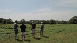 Fresh Harvest Farm Tour 2014