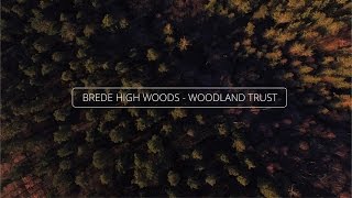 Brede High Woods - Woodland Trust Sussex