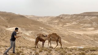 מכל אחד תוכל תלמד משהו