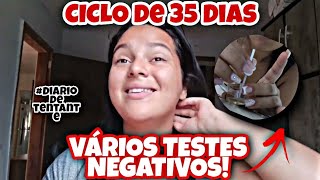 7 DIAS DE ATRASO!!! NOVAS ESTRATÉGIAS TUDO OQUE EU FIZ NO  ÚLTIMO CICLO DIÁRIO DE TENTANTE 🤰🤍💖