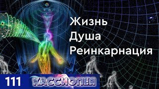 #111 Жизнь, душа и реинкарнация. Триединство природы духа: разум, сердце, энергия.