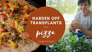 Hardening off transplants and PIZZA