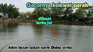 Gacornya ga main - main, Mancing disini pasti panen strike