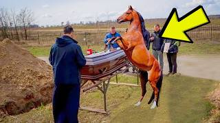 Horse Steps On Coffin During Funeral, Then The Family Hears Screaming Coming From Inside