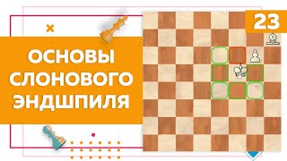 Основы слонового эндшпиля в шахматах | Chess Up! School #23