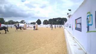 Little miss blackberry British showjumping national championships lap of honour