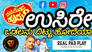 ಉಸಿರೆ ಒಡಲಿನು ಬಿಟ್ಟು ಹೋದೆಯಾ | Usire Odalanu Bittu Odeya @Realpadplay #natal #song #music #sad