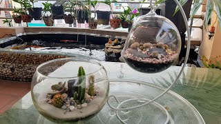 Succulent Terrarium - A Couple - Tiểu Cảnh Sen Đá - Cặp Đôi