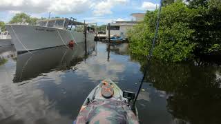 July 8, 2020 South Fork Canoe Launch