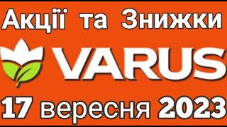 Акції VARUS 17 вересня 2023 року класні знижки #varus #анонсатб #знижкиатб #цінинапродукти #оглядцін