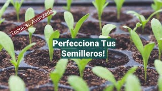 Perfecciona Tus Semilleros - Como tener un semillero saludable!