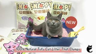 Snappy Tofu Cat Litter