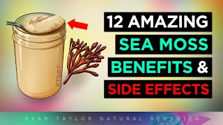 Sea Moss Gel: 12 Amazing Health Benefits & Side Effects