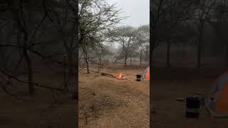 Camping in Forest #camping #shorts #short #trending #viral