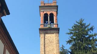 Campane di Rai di San Polo di Piave (TV) (v.028)