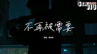 胡泽阳 - 不再被需要『我们都已经开始跟新的人自我介绍 要怎么找到你，在哪里能遇到』【動態歌詞Lyrics】2024 熱門歌曲 | 2024 新歌推送 | 抖音十大熱門歌曲 | 最火最熱門洗腦抖音歌曲