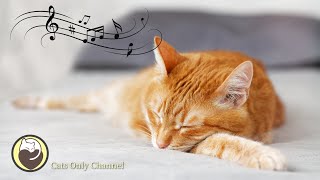 Deep Soothing Music for Nervous Cats (with cat purring sounds)