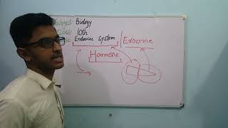 biology 10th chapter 12 endocrine system