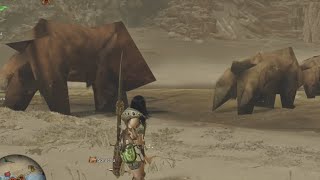 Monster Hunter Wilds on PC, the experience (Polygon Monsters Graphics Glitch)