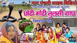 विषहईर पूजा गीत || #song #maithili #mithila #madhushravani #विषहरिगीत #बिषहरीगीत #video #new #geet