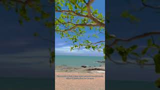 Wong Amat Beach Pattaya | Secret Beach Pattaya#shorts