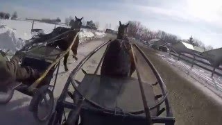 2 27 16 Older Mares Training GoPro