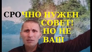 Советы деревенских старожилов. Как их воспринимать?