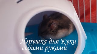 Игрушка для Куки🐹 | Своими руками👍 | Toy for Cookies |  With your own hands🐹 | Хомкины будни 🐹