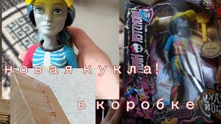 Кукла Нейтан монстер хай!распоковка/миниобзор.