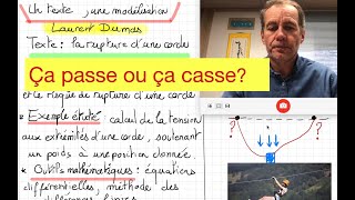 8. La corde attachée (résolution numérique d'une EDO) dans  'Un texte, une modélisation '