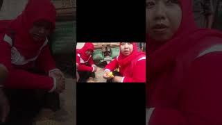 PANEN DURIAN ISI MERAH