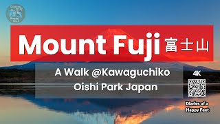 Diaries of a Happy Feet : 🗻 Visiting Mount Fuji Fugaku A Walk @Kawaguchiko Oishi Park Japan 🇯🇵🗾 [4K]