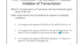 Biol 360 Tutorial global prok gene regulation