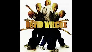 David Wilcox - That Hypnotizin' Boogie,  Riverboat Fantasy, Do The Bearcat