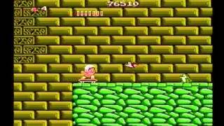 Adventure Island [NES] :: SPEED RUN (0:43:53) by ktwo [Eu Ver.]