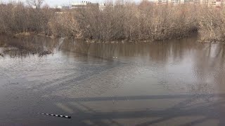 СНТ Вырыпаевка тонет в водах реки Свияги Река разлилась близ ул. Шолмова 45 Уровень составляет 1,5м.