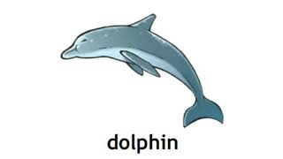 How to Pronounce Dolphin in British English