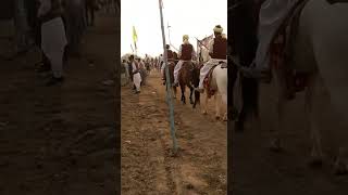 Neza Baz Ghory from Joiya Club Roda Thal khushab part 24 حاجی اسلم جوئیہ