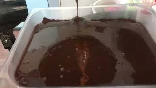 Chocolate moist cake #baking #chocolatecupcake #moistcake #shorts #shorts2024