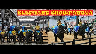 Elephant Dance Show at Thailand    #travel #thailand #nongnooch #elephant