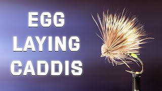 Egg Laying Caddis Fly | Barry Clarke Variation | Fly Tying Tutorial