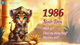 Người sinh năm 1986 (Tuổi Bính Dần) hợp cây gì - màu gì? - Phong thủy tuối Bính Dần | Nhà Mới Xanh