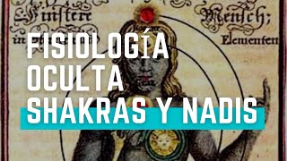 FISIOLOGIA OCULTA, SHAKRAS Y NADIS