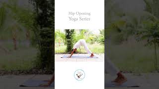 Yoga cho Phần Mở Rộng Hông Phần 1 | Yoga for Hip Opening Part 1 | YOGA WITH AMIT Tiếng Việt