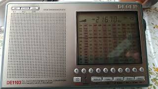 21670 kHz UNID radiostation (R.SAUDI INTERNATIONAL simultaneously)