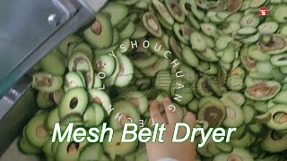 multi layer gas heating fruit mesh belt dryer for avocado peach drying